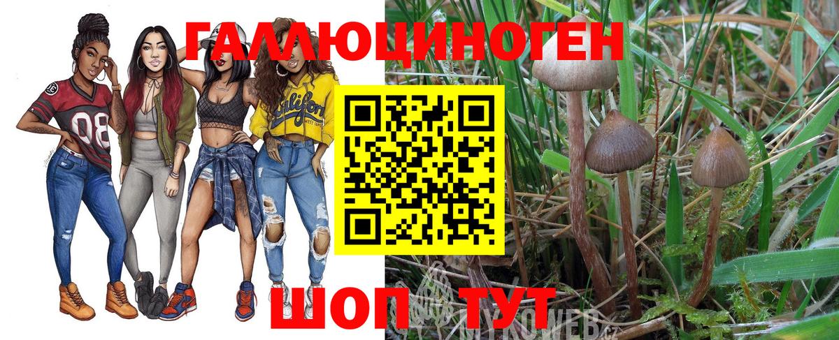 Галлюциногенные грибы Magic Shrooms  Вход с VPN  Ставрополь 