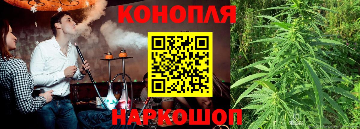 Марихуана гибрид Ставрополь